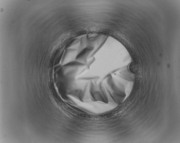 X0000076050738200610152137