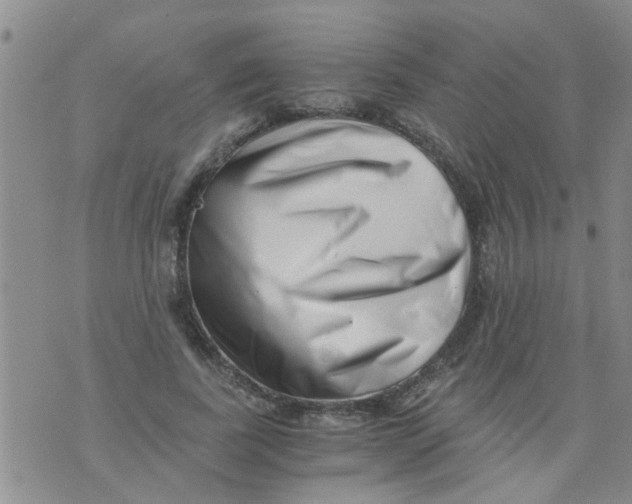 X0000076050739200610152137