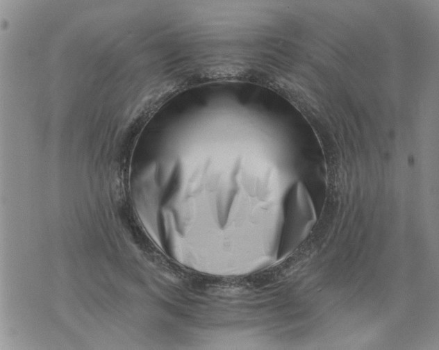 X0000076050743200610152137