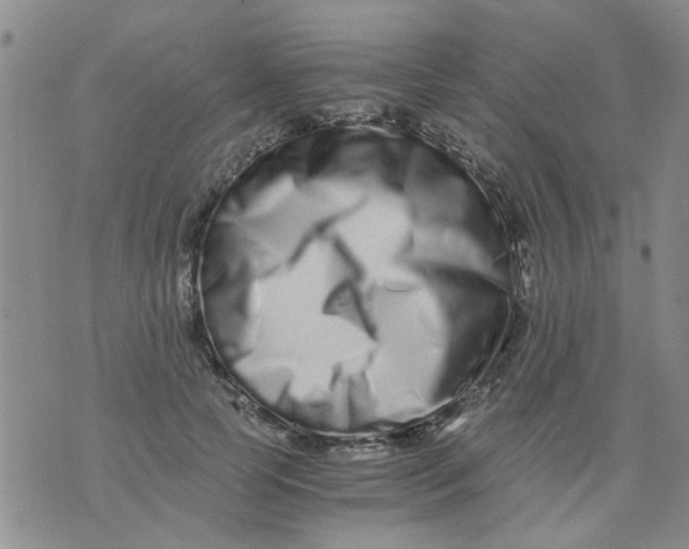 X0000076050745200610152137