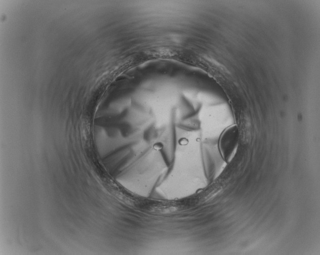 X0000076050747200610152137