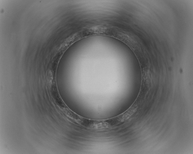 X0000076050752200610152137