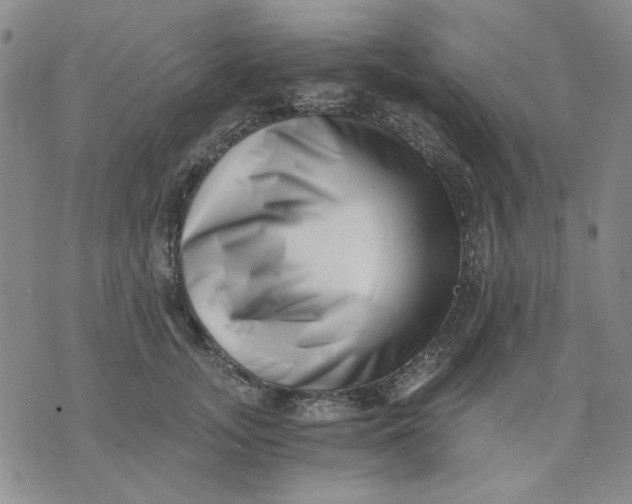 X0000076050755200610152137