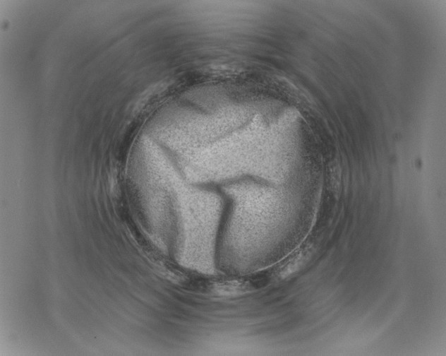 X0000076050757200610152137