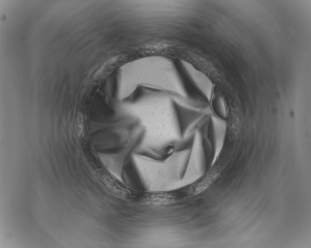 X0000076050758200610152137