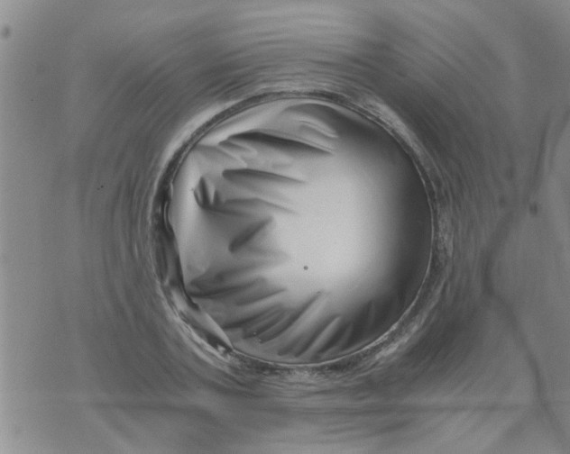 X0000076050787200610152136