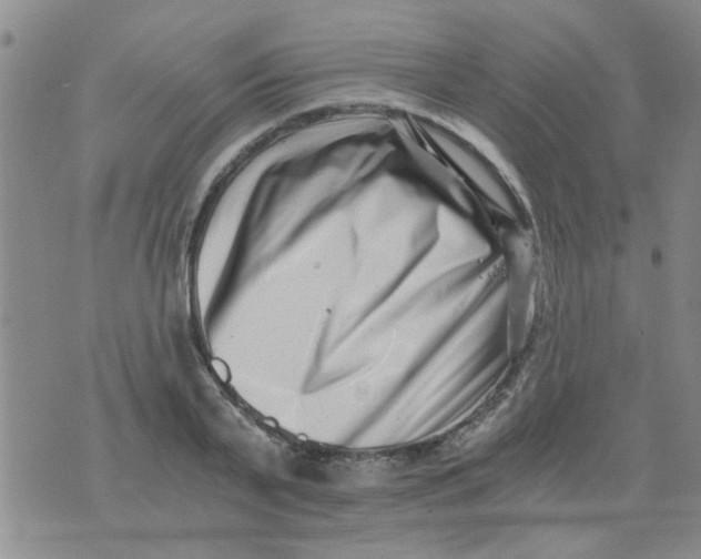 X0000076050791200610152136