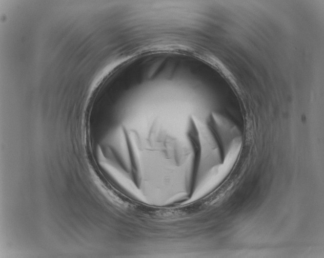 X0000076050795200610152136