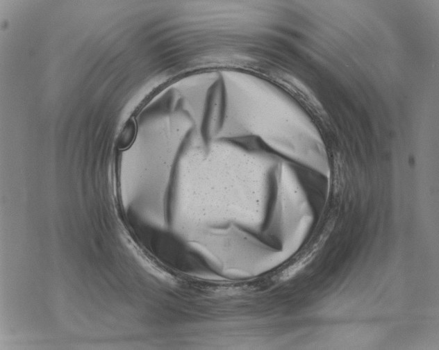 X0000076050796200610152136