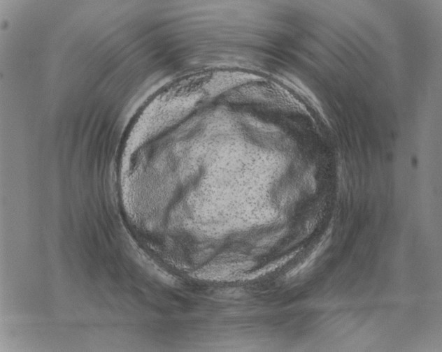 X0000076050798200610152136