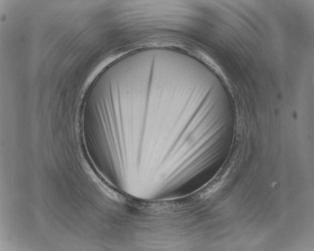 X0000076050803200610152136