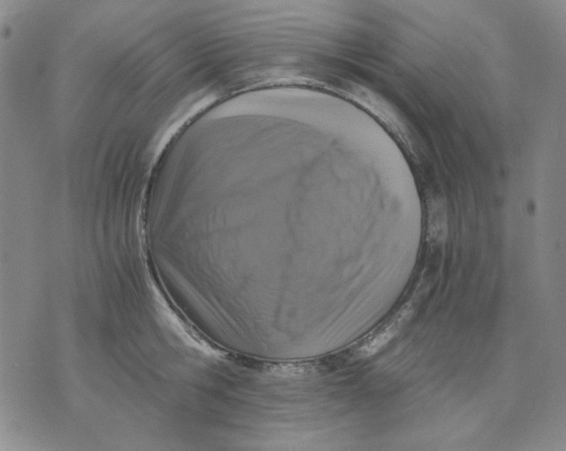 X0000076050806200610152136