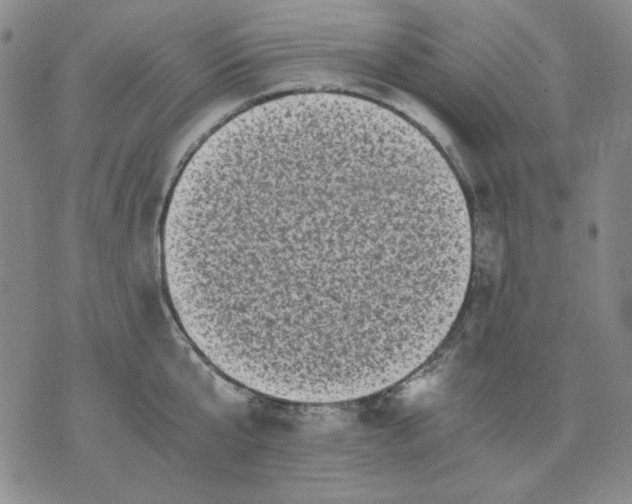X0000076050807200610152136