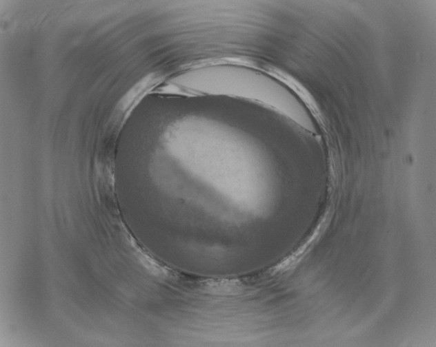X0000076050809200610152136