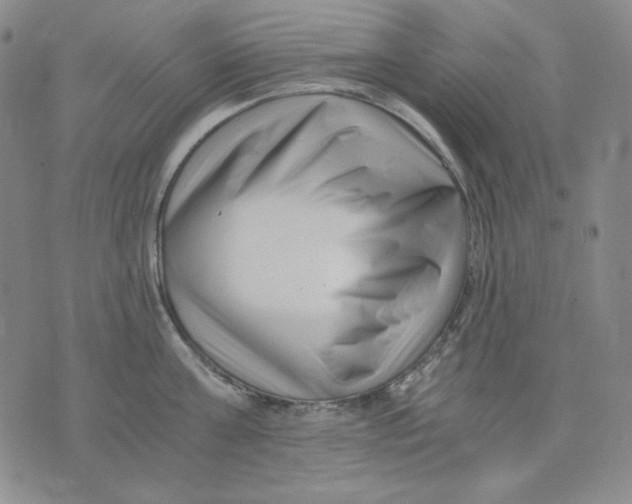 X0000076050811200610152136