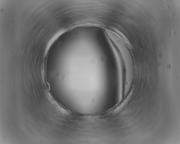 X0000076050812200610152136
