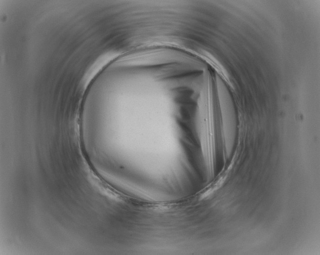 X0000076050814200610152136