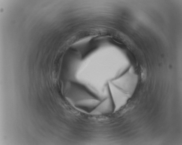 X0000076050819200610152135