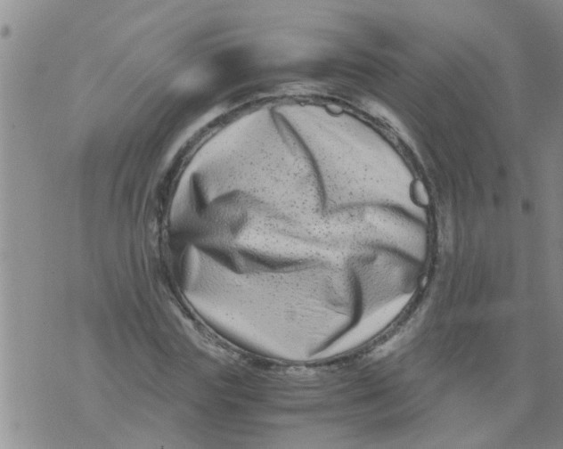 X0000076050827200610152135