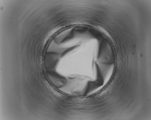 X0000076050831200610152135