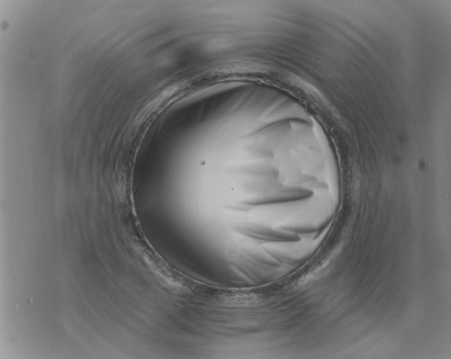 X0000076050833200610152135