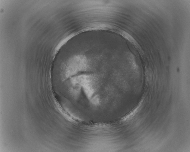 X0000076050842200610152135