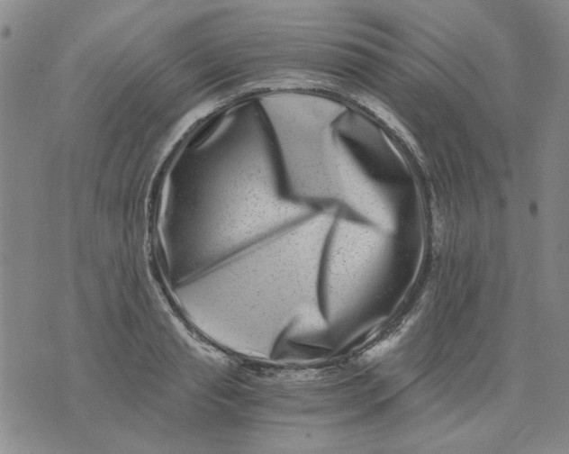 X0000076050845200610152135