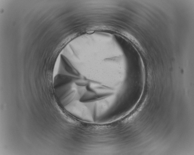 X0000076050849200610152135