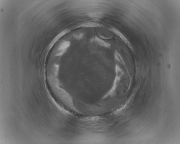 X0000076050853200610152135