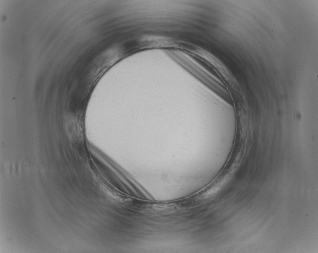 X0000076050857200610152135