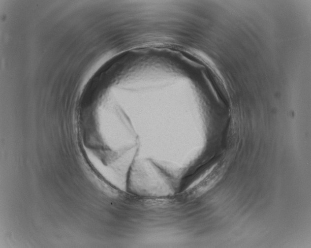X0000076050859200610152136
