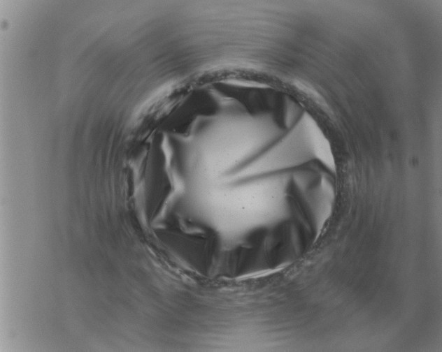 X0000076050872200610152135