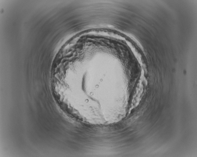 X0000076050895200610152134