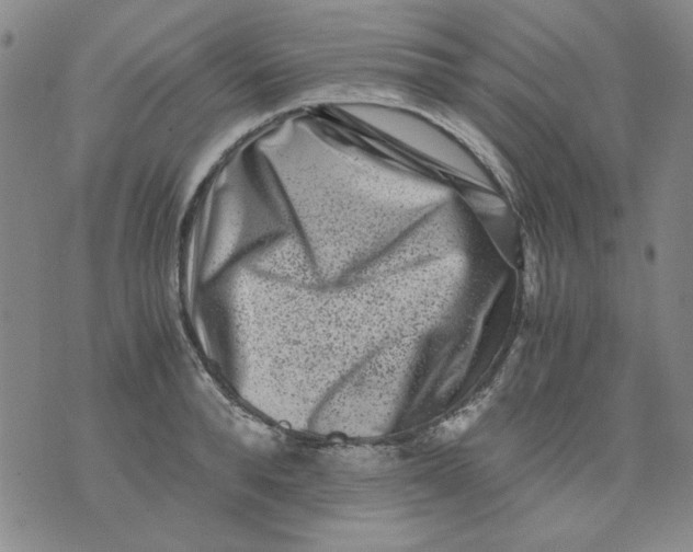 X0000076050896200610152134