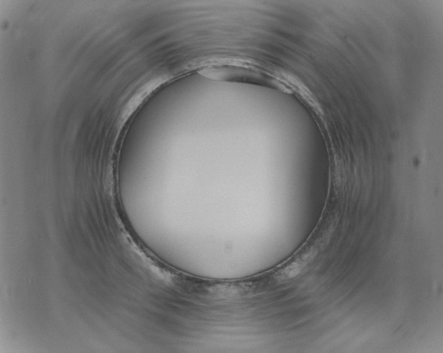 X0000076050898200610152134