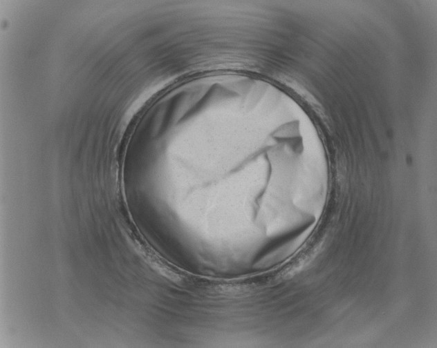 X0000076050933200610152134