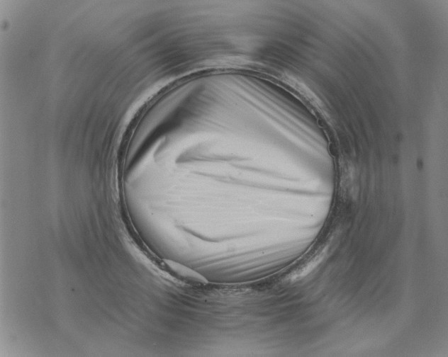 X0000076050939200610152134