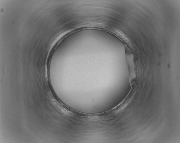 X0000076050940200610152134