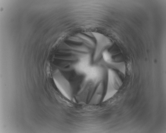 X0000076050963200610152133