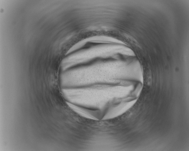 X0000076050966200610152133