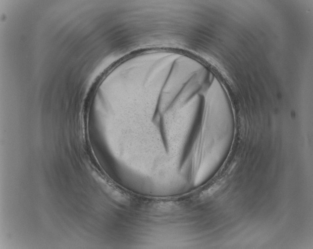 X0000076050982200610152133