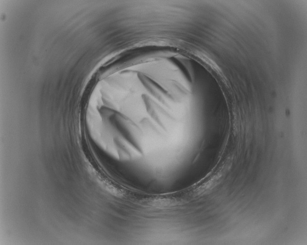 X0000076050984200610152133