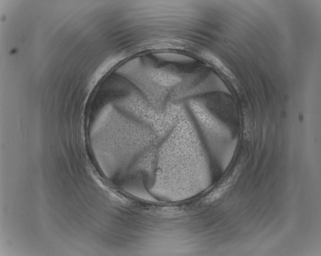 X0000076050986200610152133