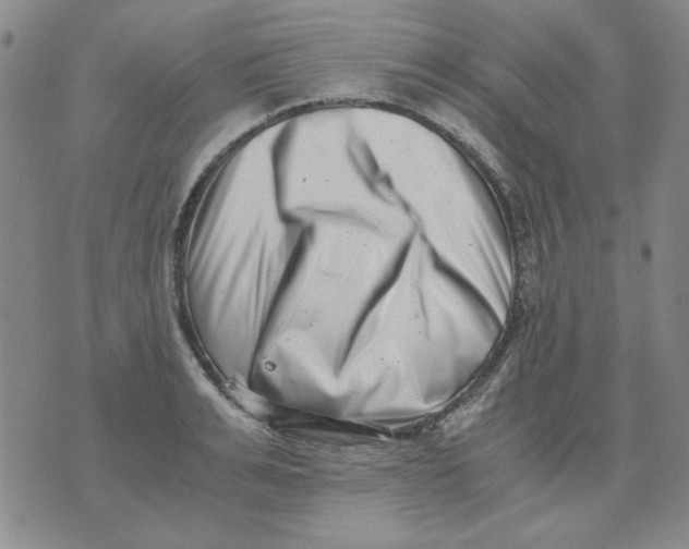 X0000076050991200610152133