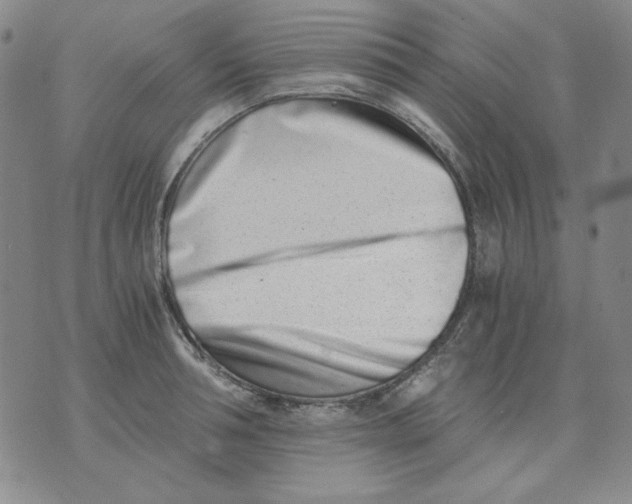 X0000076050994200610152133