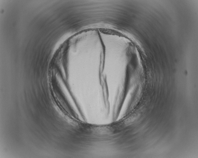 X0000076050998200610152133