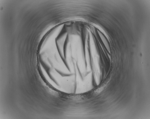 X0000076050999200610152133