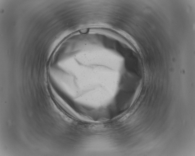 X0000076051006200610152133