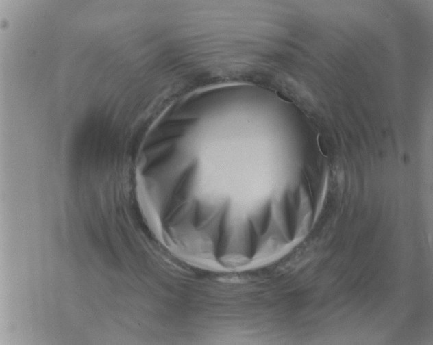 X0000076051012200610152132