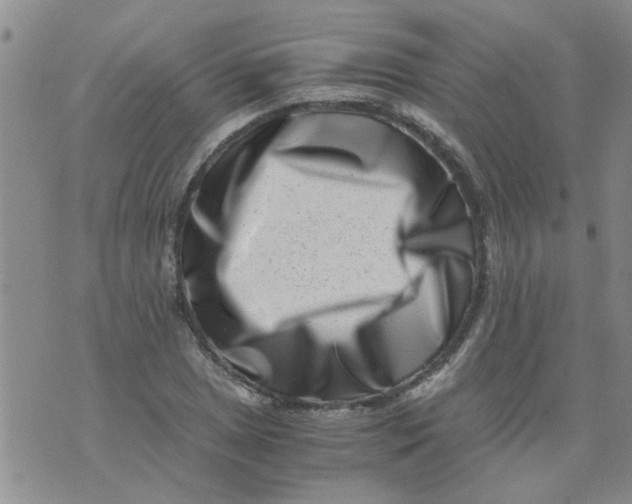 X0000076051025200610152132